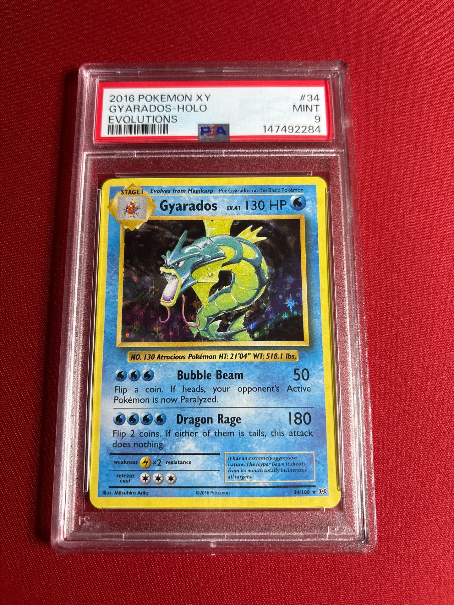 Pokemon Gyarados 34/108 HOLO (2016) PSA 9