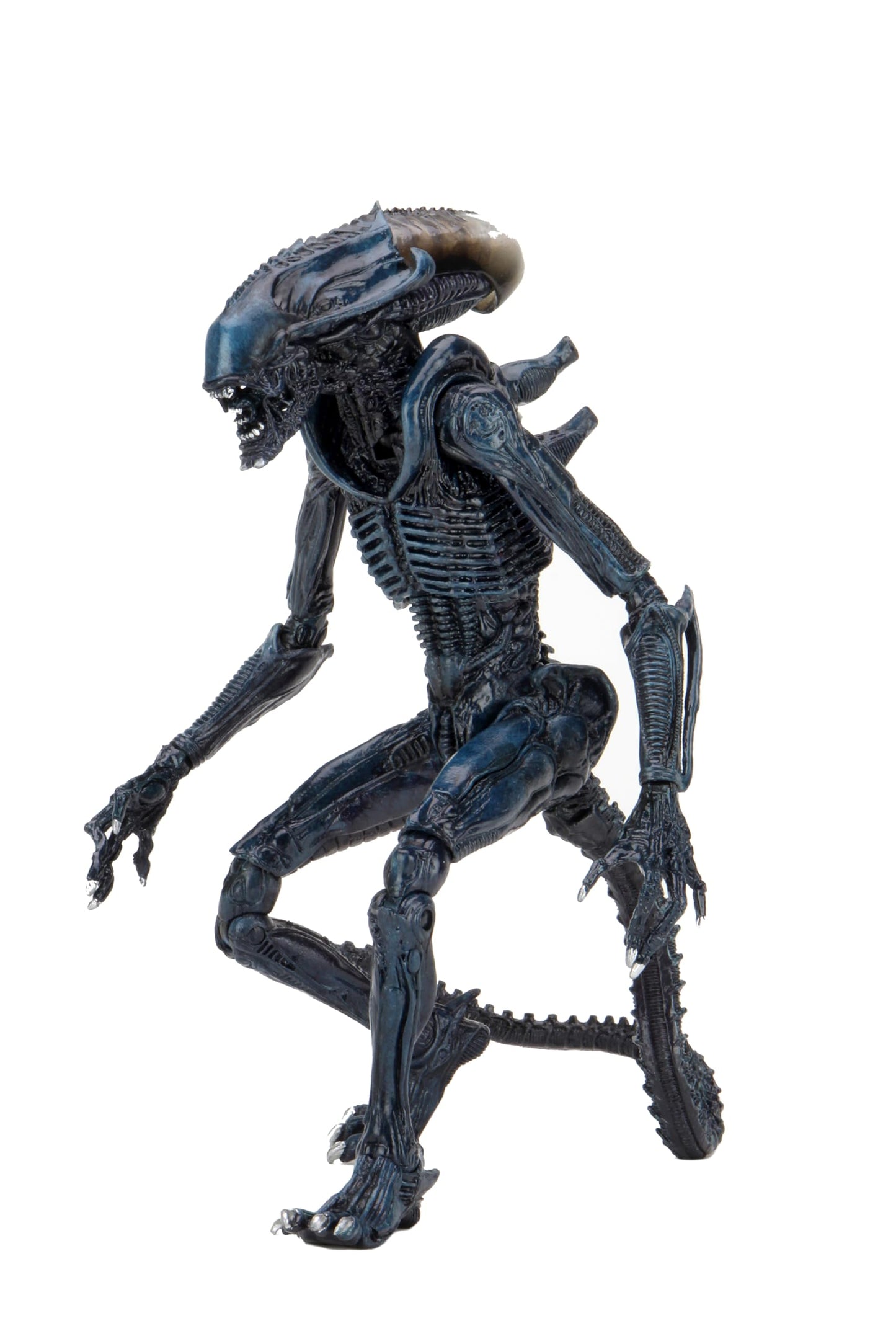 NECA Aliens Arachnoid Alien