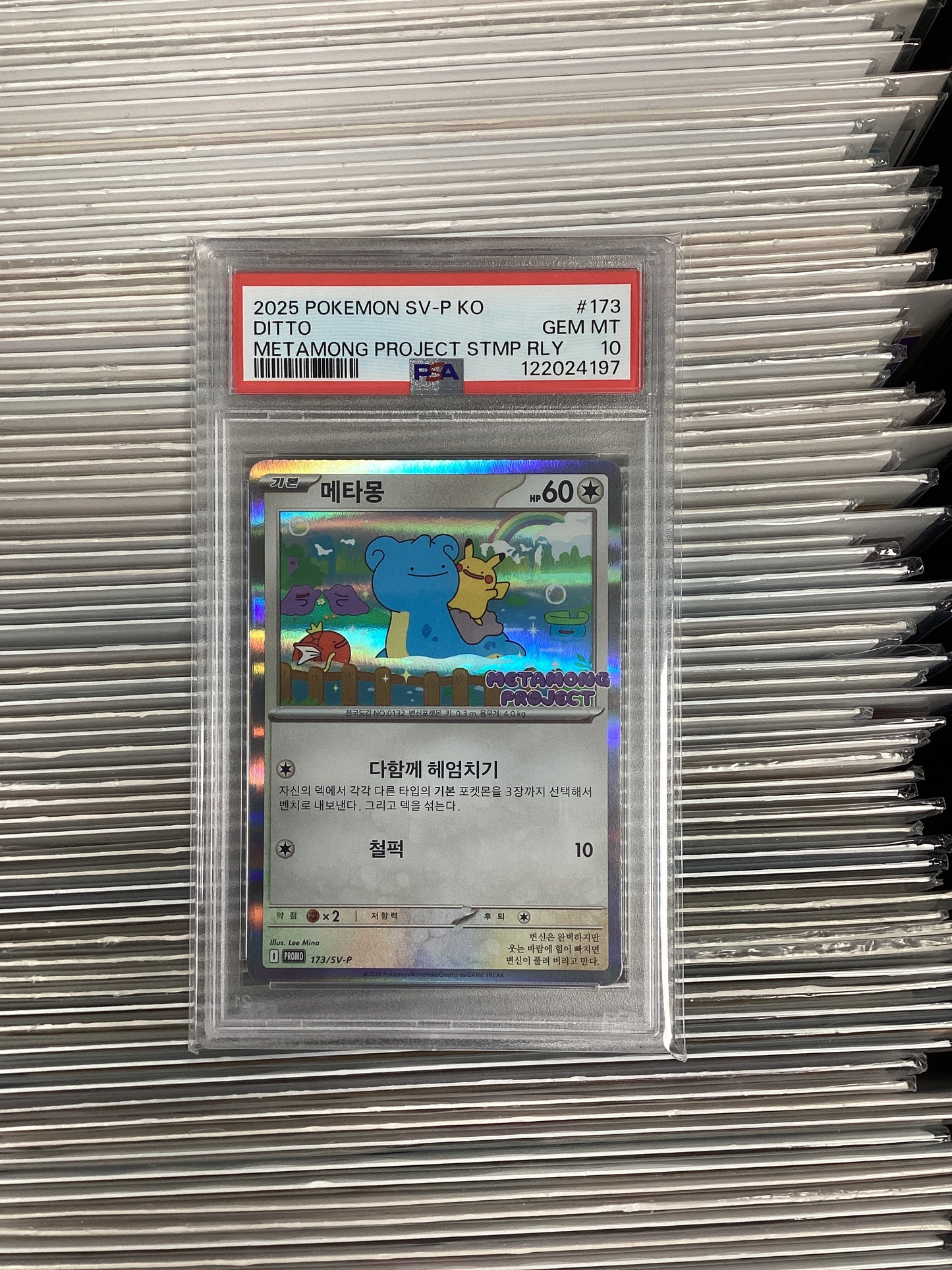 Pokemon Korean Ditto 173/SV-P PSA 10