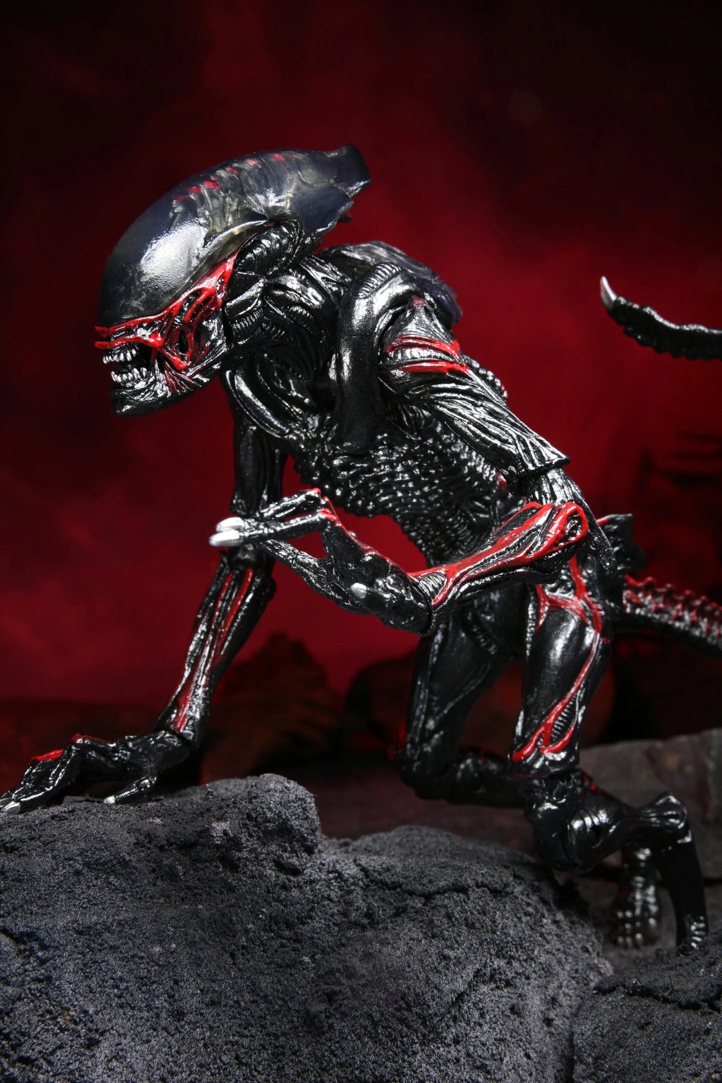 NECA Aliens Night Cougar Alien