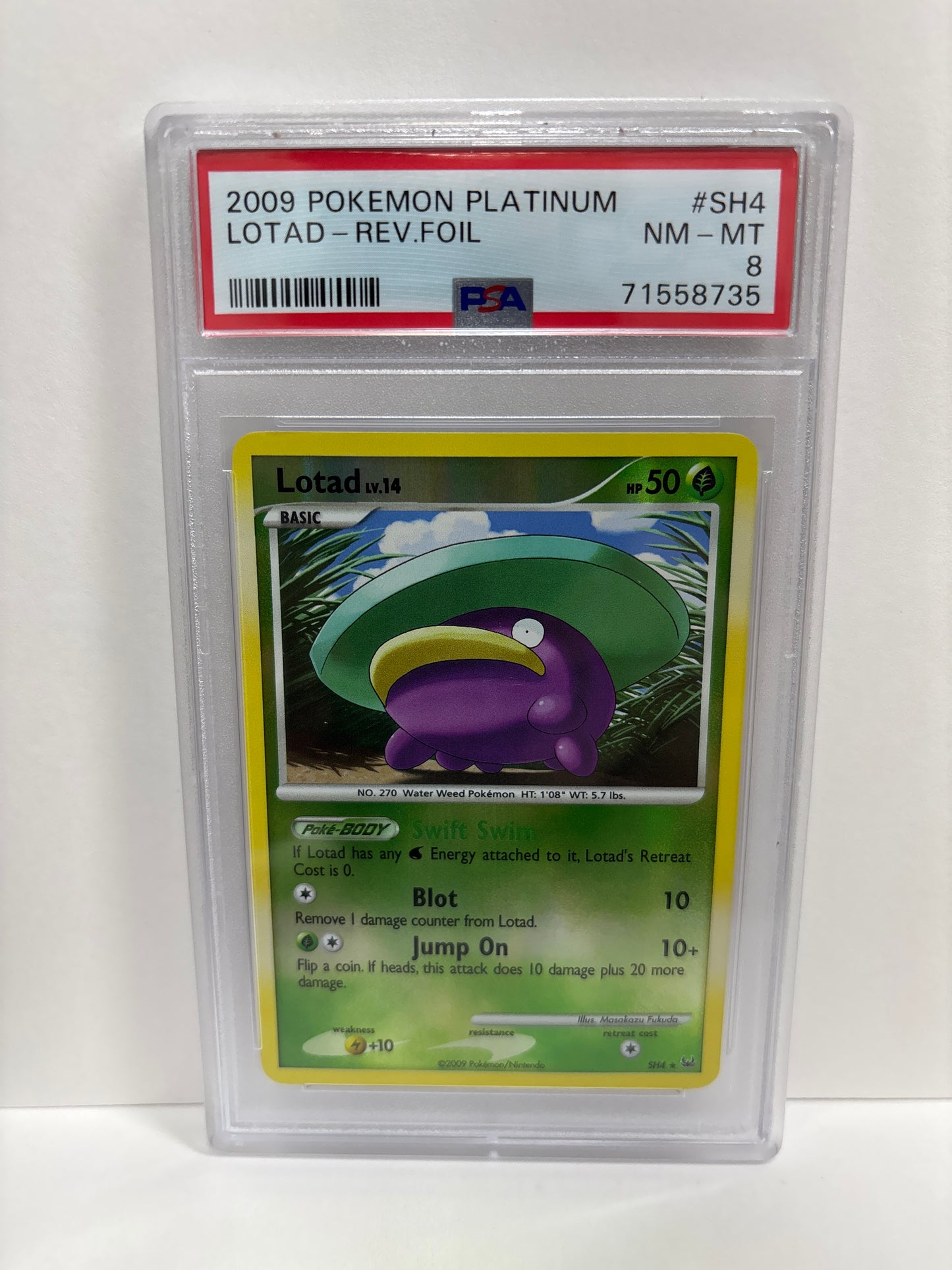 Pokemon Lotad SH4 Reverse Foil (2009) PSA 8