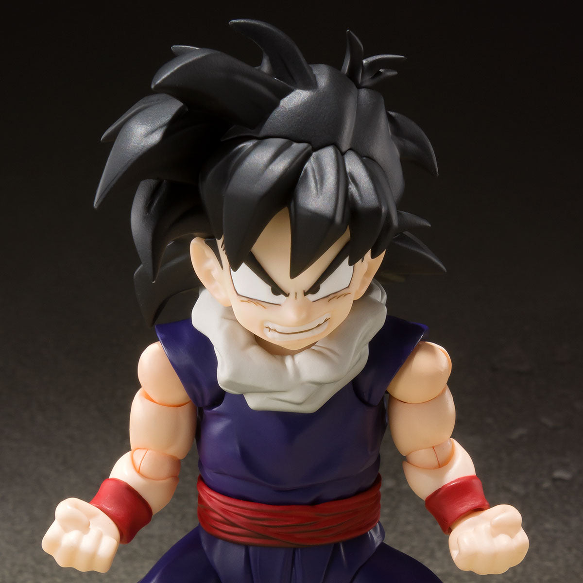 Dragonball Z Son Gohan Battle cloth S.H. Figuarts – Japan Style 2.0 Dragonball Z Son Gohan Battle cloth S.H. Figuarts – Japan Style 2.0