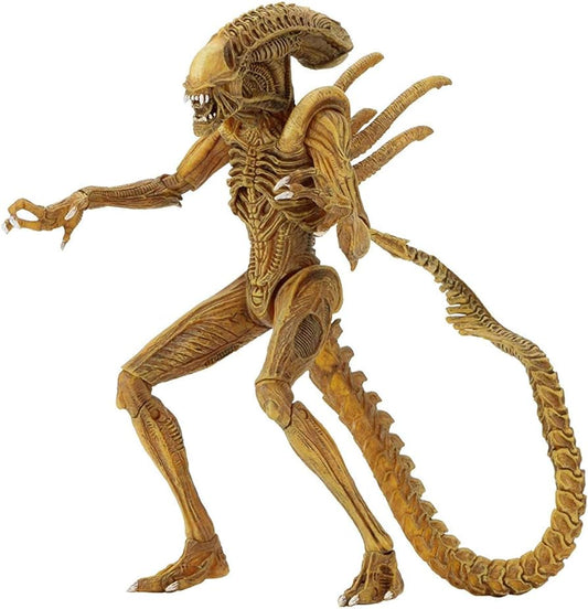 NECA Aliens Sewer Mutation Warrior Alien (Box Damage)
