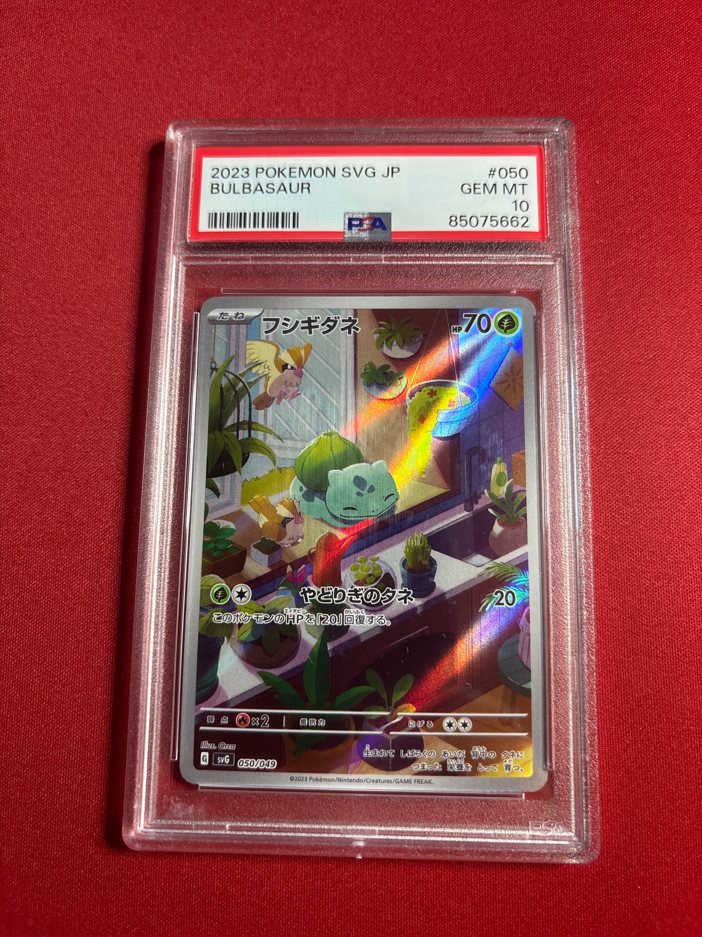 Pokemon Japanese Bulbasaur 050/049 PSA 10