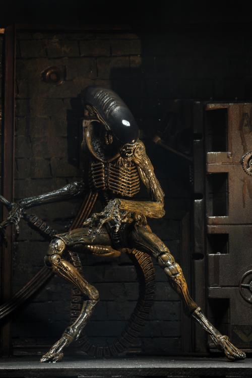 NECA Alien 3 Ultimate Edition (Damaged Box)