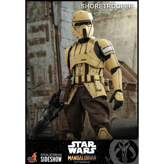 Hot Toys Star Wars Shoretrooper TMS031 1/6 Scale Figure