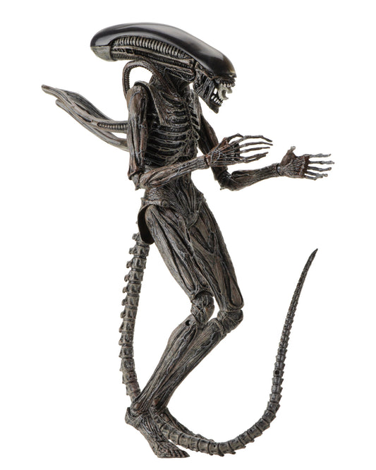 NECA Alien Covenant Xenomorph